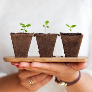 pim-benefits-growing-organizations