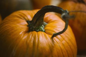 halloween-catalog-template