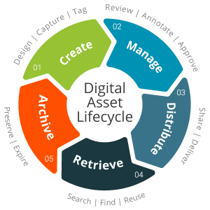 organize-digital-assets
