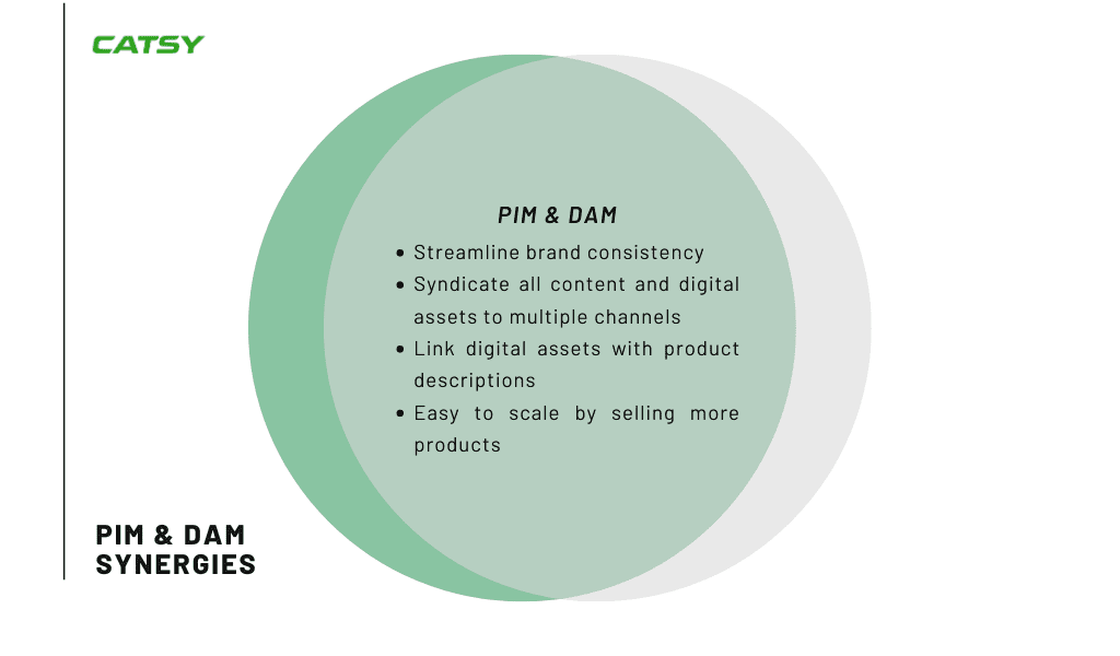 Catsy PIM integration digital asset dam software vs pim software