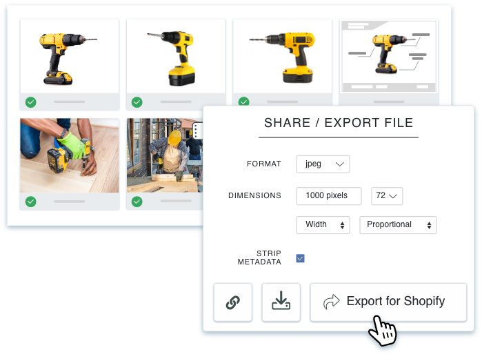 export-digital-assets-for-shopify