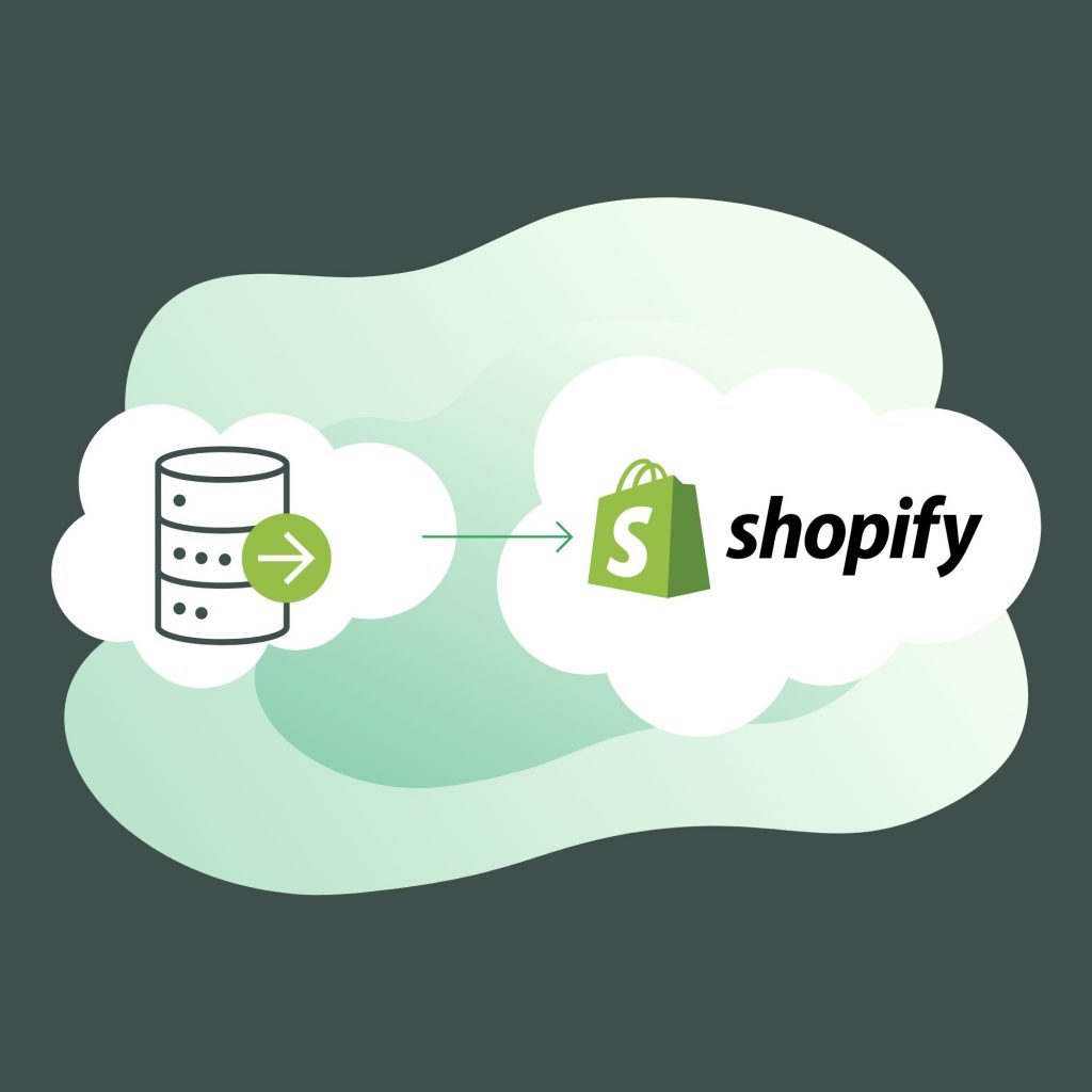 shopify integration with erp
