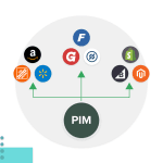What is a PIM Channel?