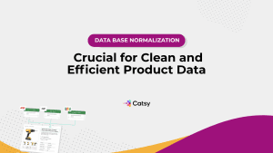 Crucial for clean and data efficient product data - data normalization