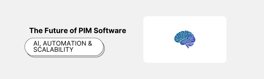 The Future of PIM Software