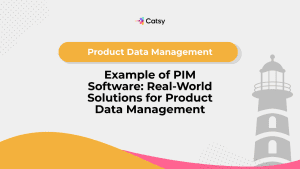 example of pim software