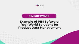 example of pim software