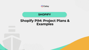 Shopify PIM: Project Plans & Examples