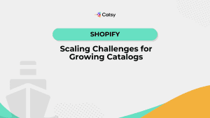 top 10 shopify issues and how to overcome them