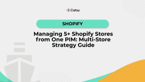 Managing 5+ Shopify Stores